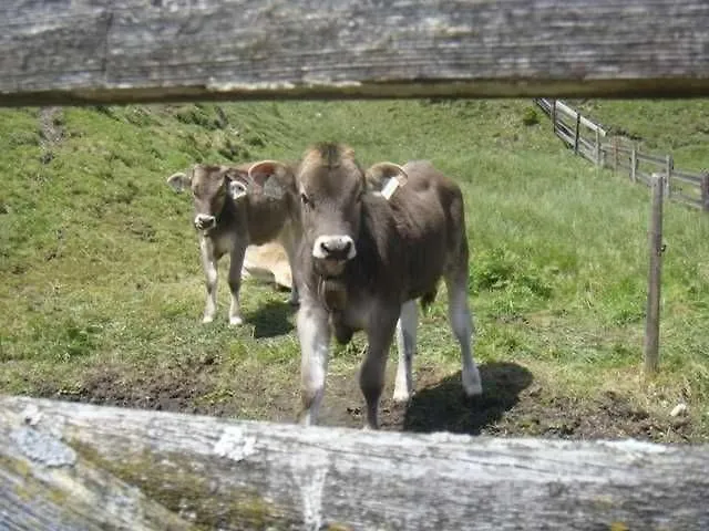 Feriegård Lippenhof Leutasch