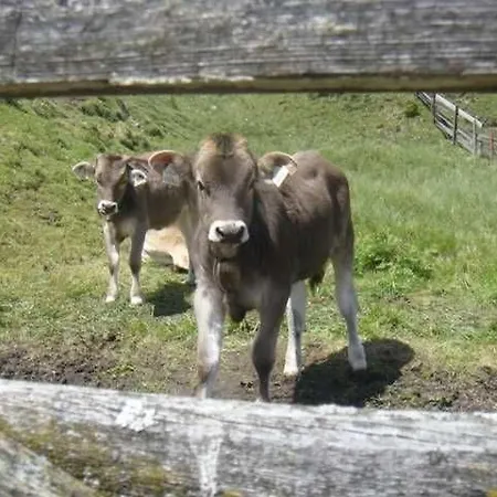 Alojamento de Turismo Rural Lippenhof Leutasch